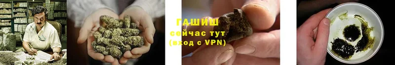 ГАШИШ Cannabis  Северск 